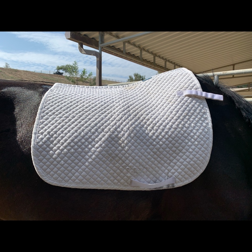 Dover saddle pad